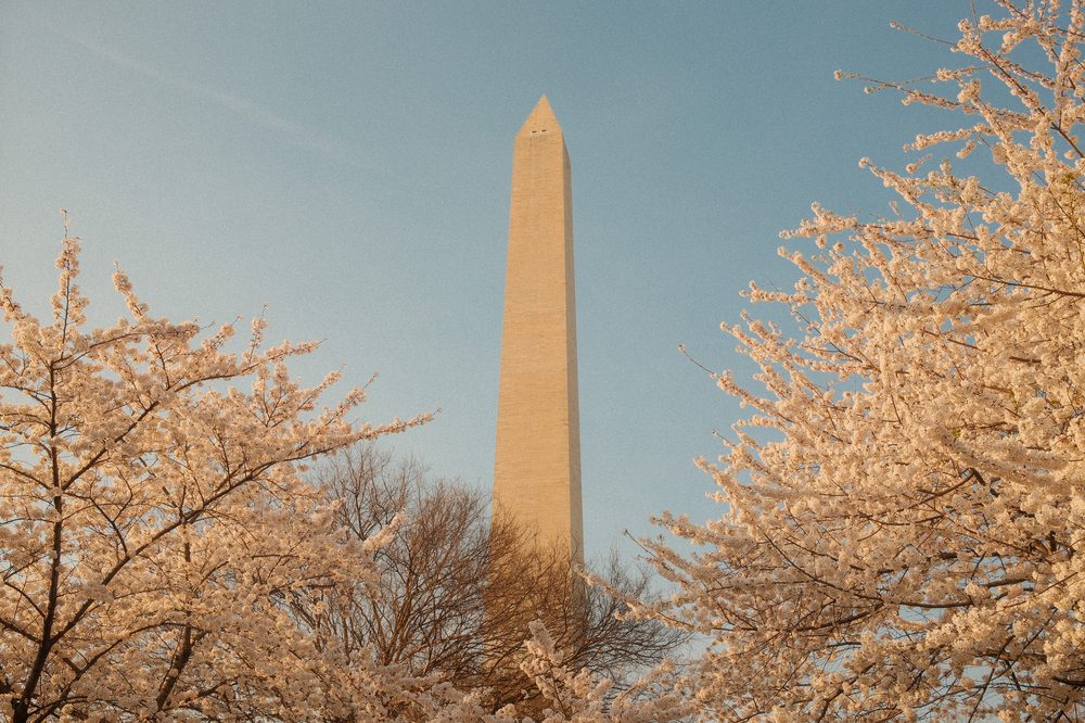 Washington DC